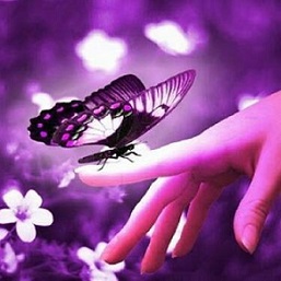 digital art photo of butterfly perched on fingertips