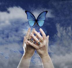 Hands reaching for blue butterfly